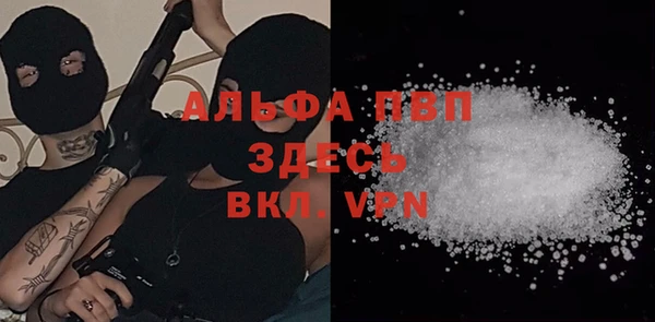 СК Алзамай